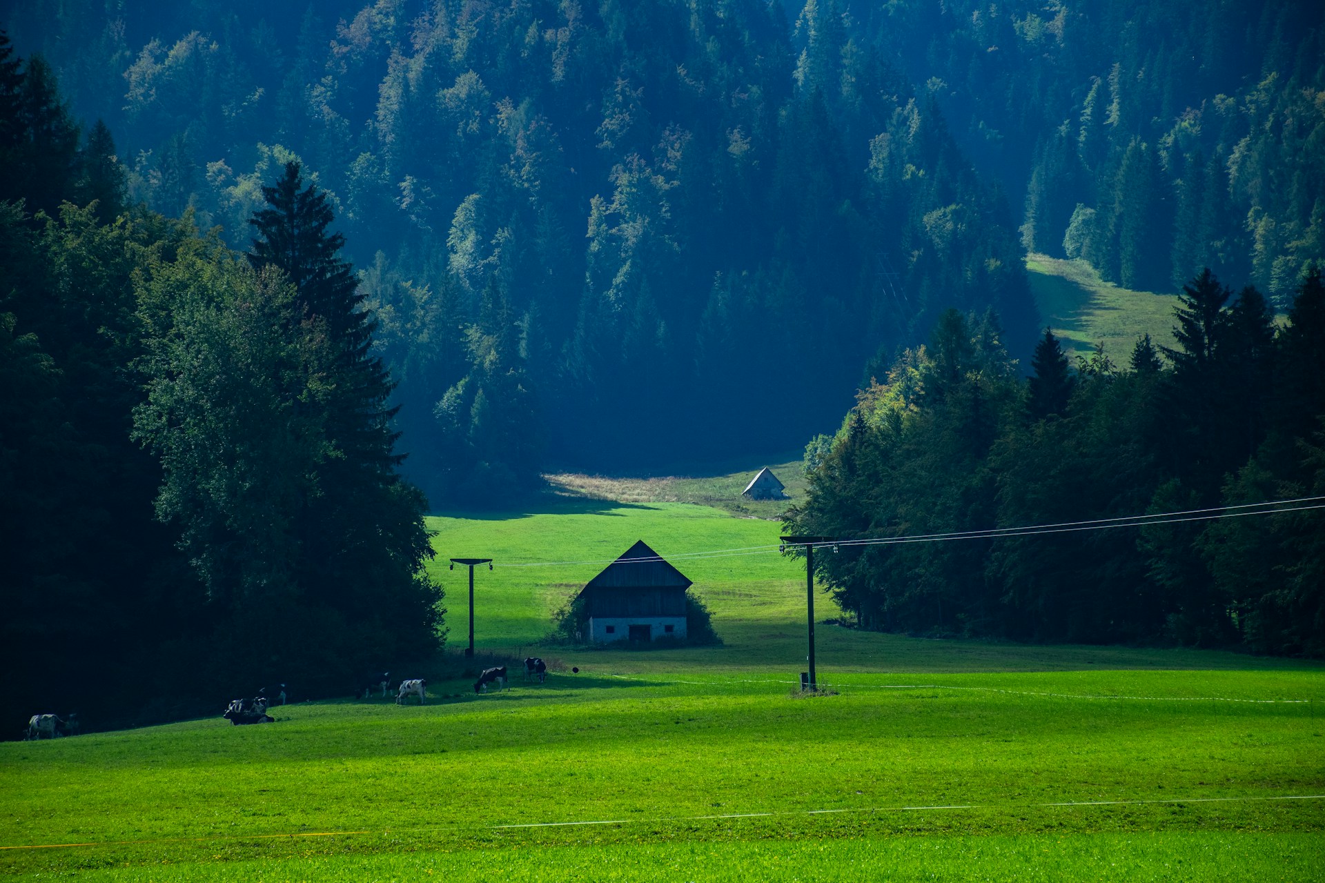 Transfer do Kranjska Gora