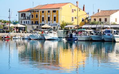 Transfer do Novigrad